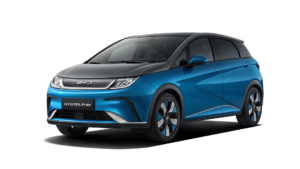 Dolphin - rechts voor